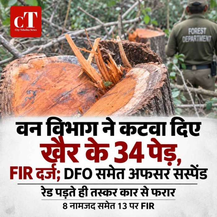 वन विभाग ने कटवा दिए खैर के 34 पेड़, FIR दर्ज; DFO समेत अफसर सस्पेंड