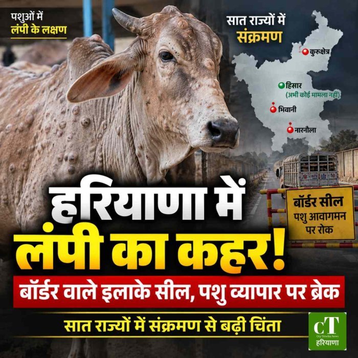 सात राज्यों में लंपी का कहर, हरियाणा में बॉर्डर वाले इलाके सील; पशुओं के व्यापार पर लगा ब्रेक
