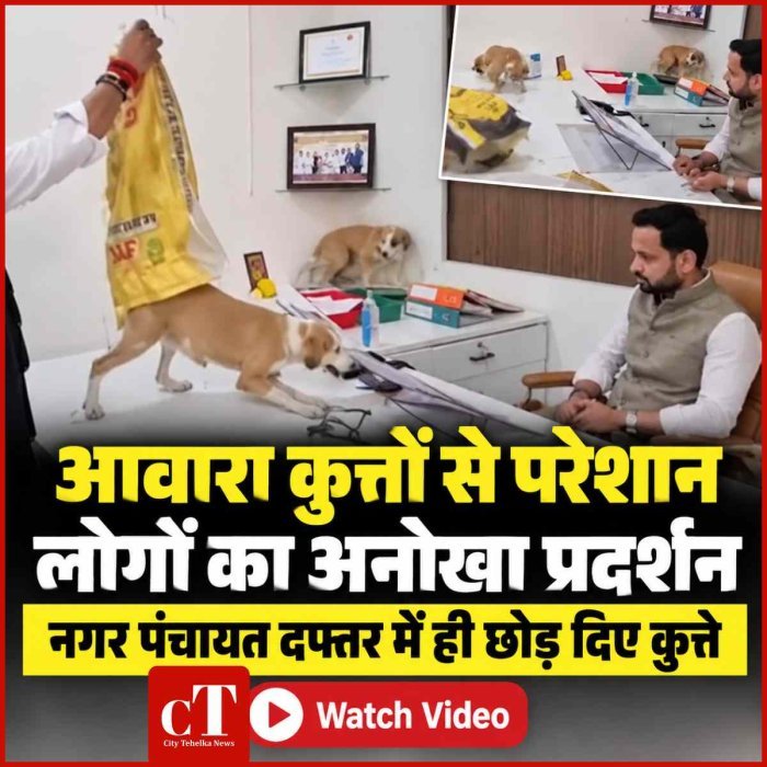 आवारा कुत्तों के आतंक से परेशान लोगों ने किया ऐसा प्रदर्शन, नगर पंचायत दफ्तर में ही छोड़ दिए कुत्ते; मुख्याधिकारी को नोटों की माला पहनाने की कोशिश