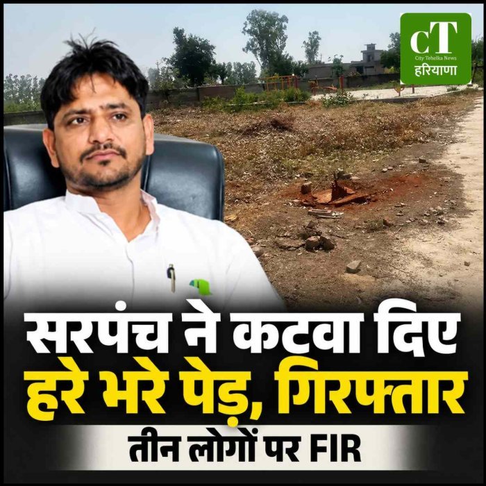 कैथल में पेड़ कटाई मामले में धनौरी के सरपंच गिरफ्तार, तीन पर FIR; स्टेडियम के पास हरे पेड़ काटने का आरोप