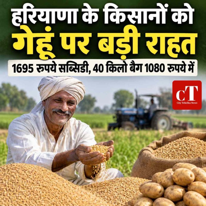हरियाणा में किसानों को बड़ी राहत, गेहूं बीज पर 1695 रुपये की सब्सिडी; 1080 रुपये में मिलेगा 40 किलो का बैग