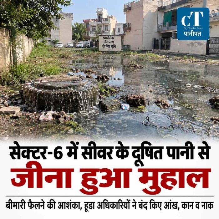 सेक्टर-6 में सीवर के दूषित पानी से जीना हुआ मुहाल, दो महीने से समस्या बरकरार