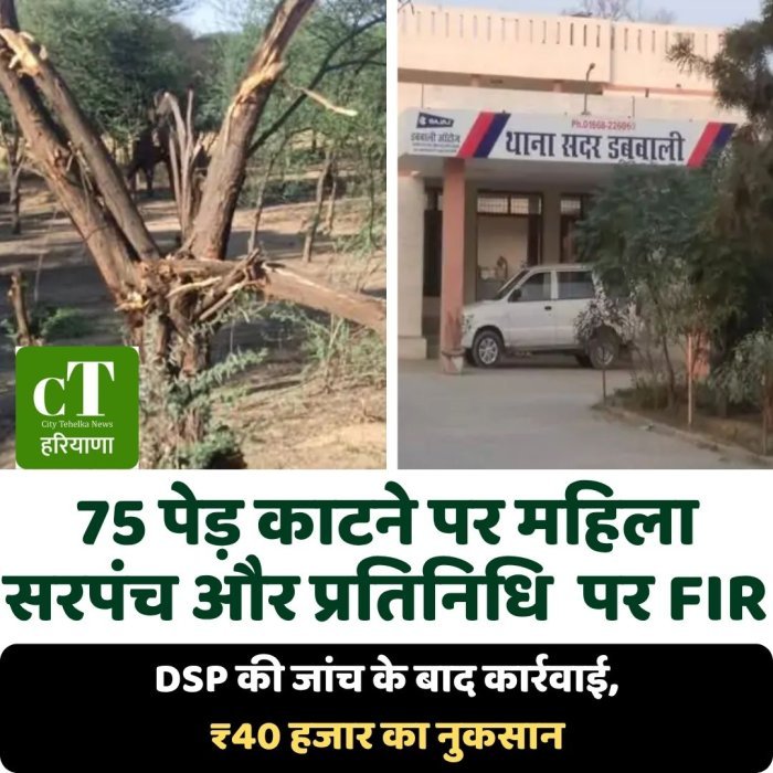 75 पेड़ काटने पर महिला सरपंच और प्रतिनिधि  पर FIR,DSP की जांच के बाद कार्रवाई, ₹40 हजार का नुकसान