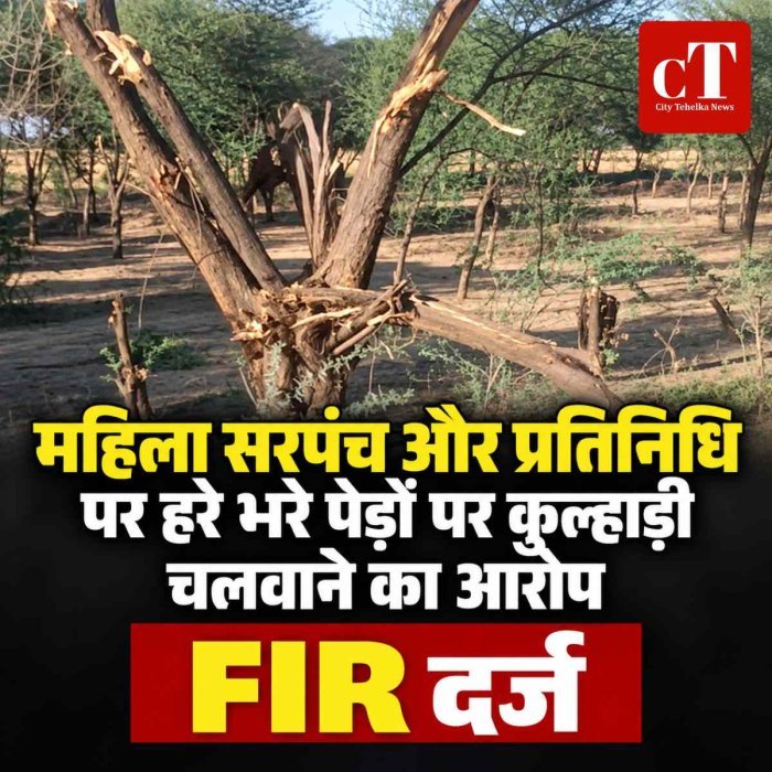 महिला सरपंच और प्रतिनिधि  पर हरे भरे पेड़ों पर कुल्‍हाड़ी चलवाने का आरोप, FIR दर्ज