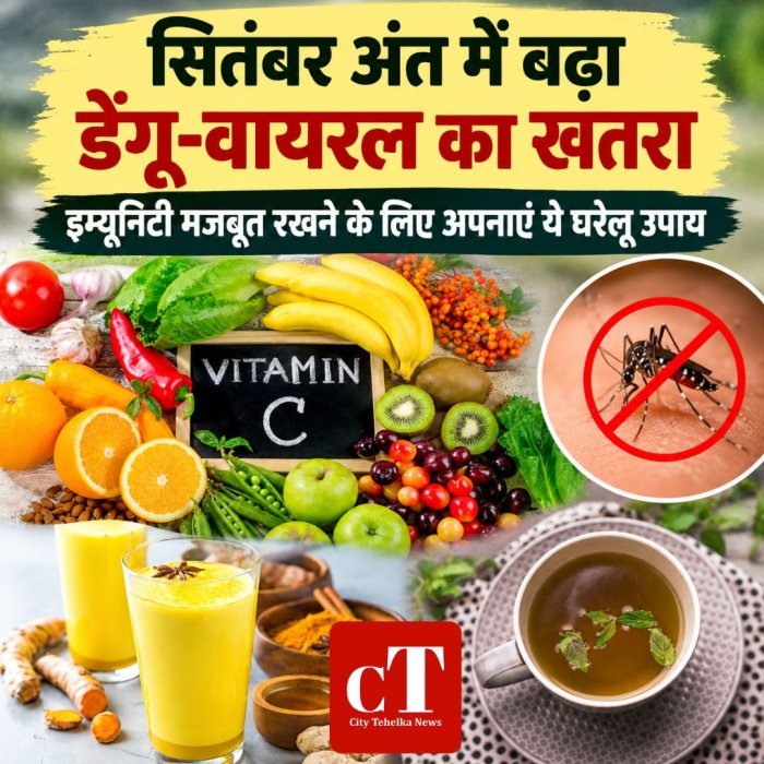 सितंबर अंत में बढ़ा डेंगू-वायरल का खतरा,इम्यूनिटी मजबूत रखने के लिए अपनाएं ये घरेलू उपाय