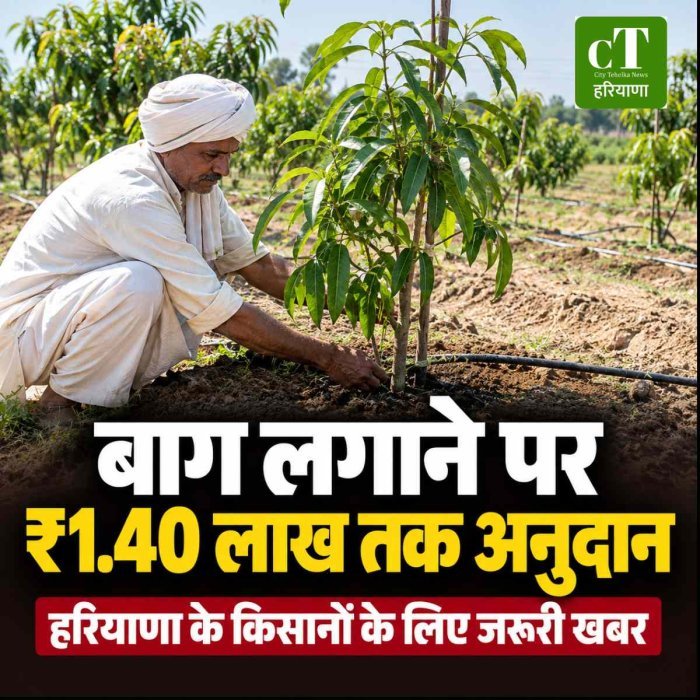 हरियाणा में नए बाग लगाने वाले किसानों के लिए बड़ी खबर, सरकार देगी ₹24,500 से ₹1.40 लाख प्रति एकड़ तक अनुदान