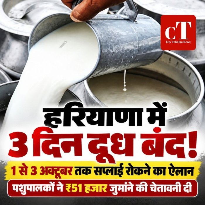 हरियाणा में 3 दिन दूध बंद,1 से 3 अक्टूबर तक  सप्लाई रोकने का ऐलान,पशुपालकों ने  ₹51 हजार जुर्माने  की चेतावनी दी
