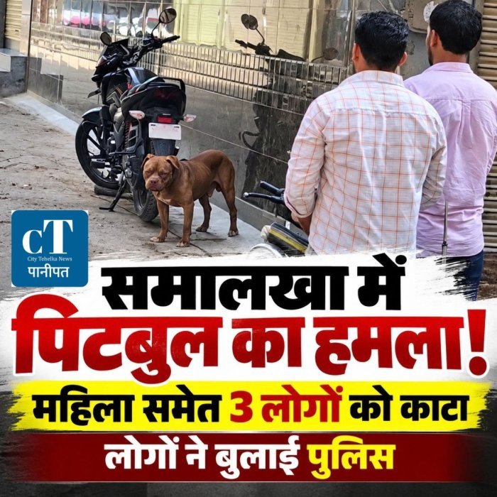 समालखा में पिटबुल का हमला,महिला समेत 3 लोगों को काटा,लोगों ने बुलाई पुलिस