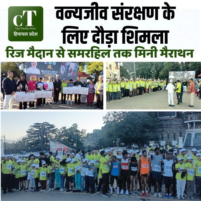 वन्यजीव संरक्षण के लिए दौड़ा शिमला,रिज मैदान से समरहिल तक मिनी मैराथन