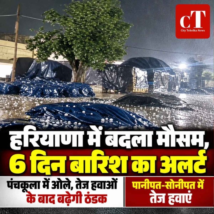 हरियाणा में मौसम ने अचानक बदली करवट: पंचकूला में ओले, पानीपत-सोनीपत में तेज हवाएं; 6 दिन बारिश का अलर्ट