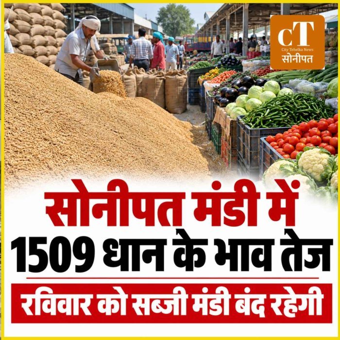 सोनीपत मंडी भाव: 1509 धान में ₹75 तक की तेजी, रविवार को सब्जी मंडी बंद रहने की संभावना