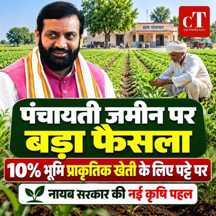 10 प्रतिशत भूमि पट्टे पर देगी नायब सरकार, हरियाणा में पंचायती जमीन को लेकर बड़ा फैसला