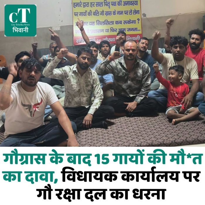 भिवानी में गौग्रास के बाद 15 गायों की मौ*त का दावा, विधायक कार्यालय पर गौ रक्षा दल का धरना