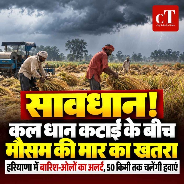 कल धान कटाई के बीच मौसम की मार का खतरा, हरियाणा में बारिश और ओले की चेतावनी, जानें बड़ा अपडेट