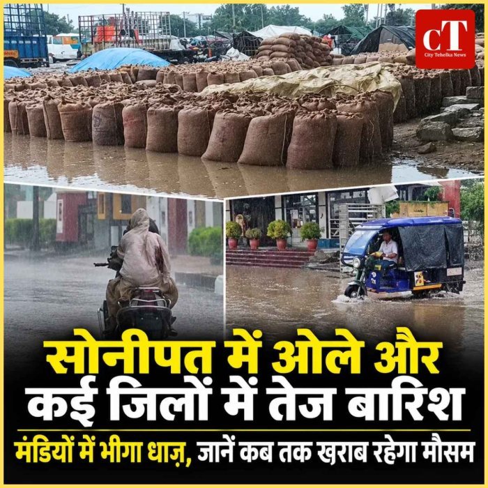 Video: सोनीपत में ओले और कई जिलों में तेज बारिश; मंडियों में भीगा धाऩ, जानें कब तक खराब रहेगा मौसम