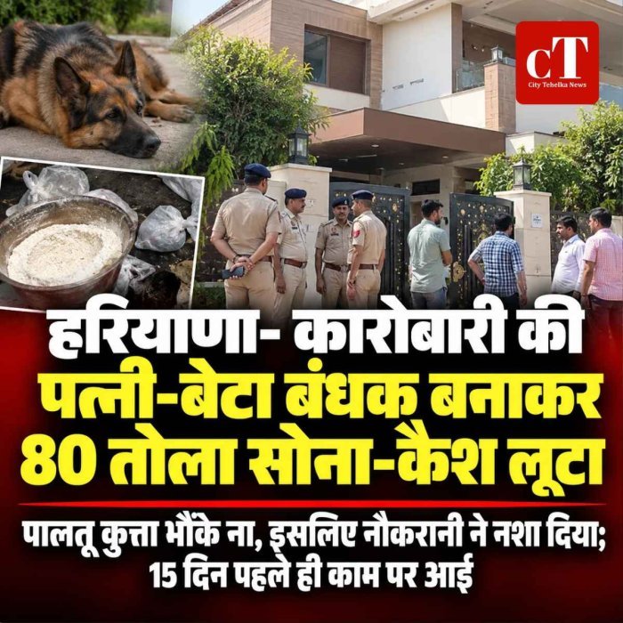 हरियाणा में कारोबारी की पत्नी-बेटे को बंधक बनाकर लूट, 80 तोला सोना गायब; नई नौकरानी पर शक