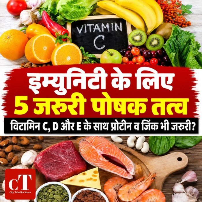 इम्युनिटी के लिए 5 जरूरी पोषक तत्व,विटामिन C, D और E के साथ प्रोटीन व जिंक भी जरूरी