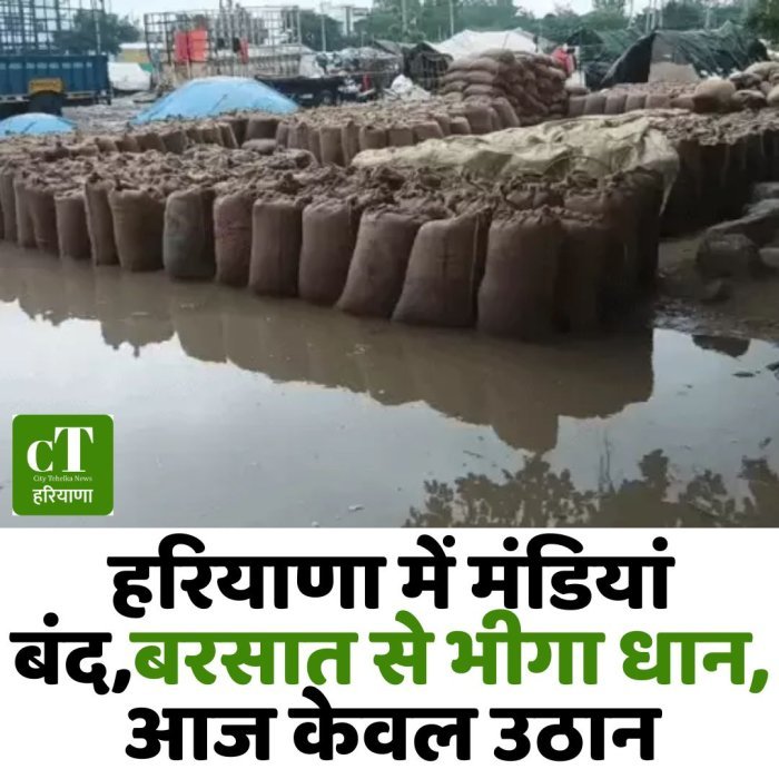 हरियाणा में मंडियां बंद,बरसात से भीगा धान, आज केवल उठान