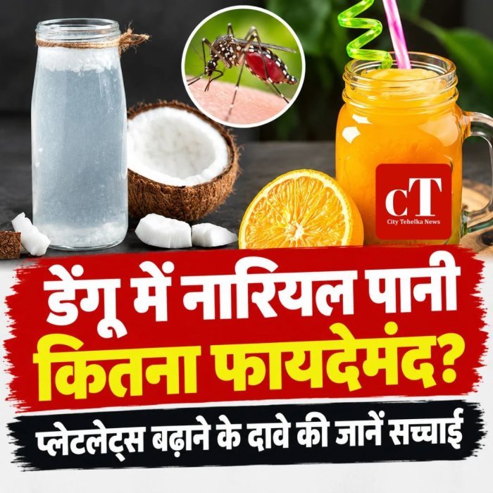 डेंगू में नारियल पानी कितना फायदेमंद? प्लेटलेट्स बढ़ाने के दावे की जानें सच्चाई