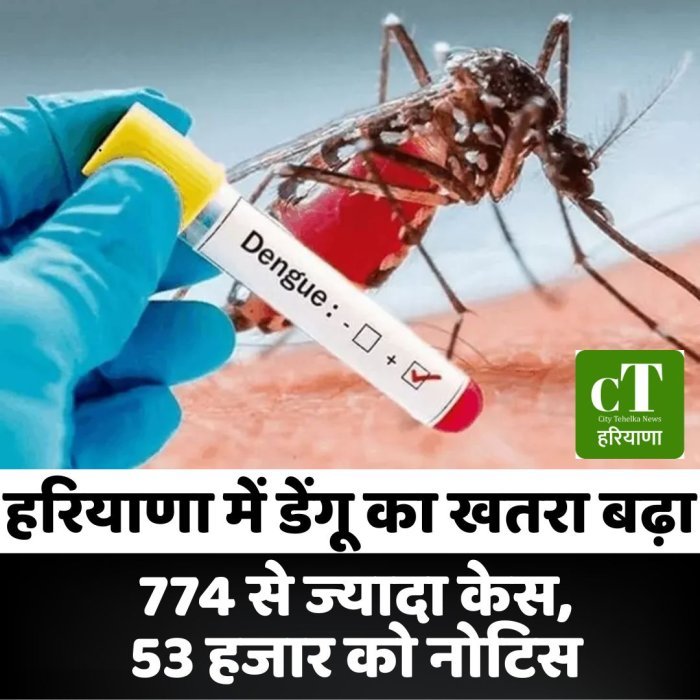 हरियाणा में डेंगू का खतरा बढ़ा,774 से ज्यादा केस, 53 हजार को नोटिस