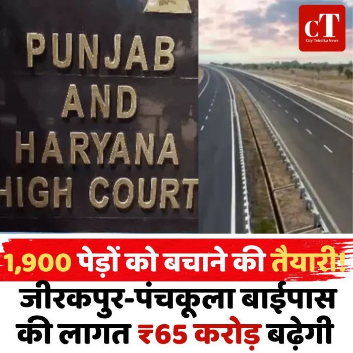 1,900 पेड़ों को बचाने की तैयारी! जीरकपुर-पंचकूला बाईपास की लागत ₹65 करोड़ बढ़ेगी