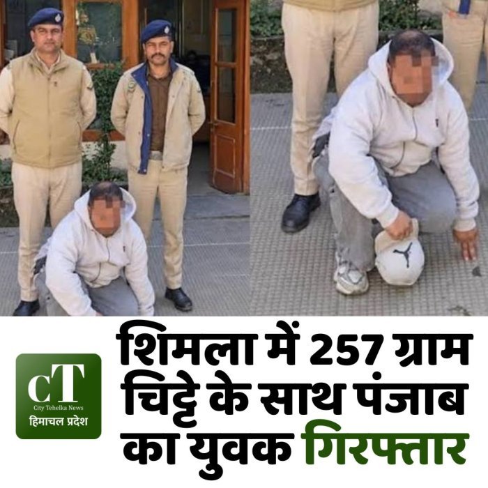 शिमला में 257 ग्राम चिट्टे के साथ पंजाब का युवक गिरफ्तार