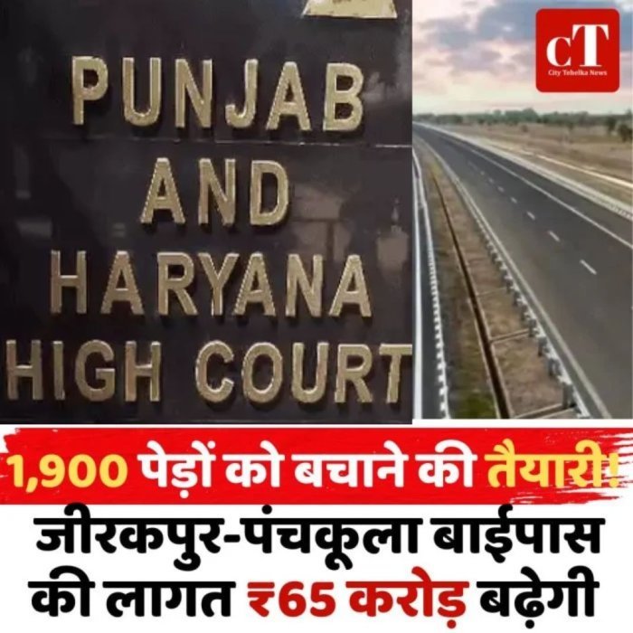 1,900 पेड़ों को बचाने की तैयारी! जीरकपुर-पंचकूला बाईपास की लागत ₹65 करोड़ बढ़ेगी
