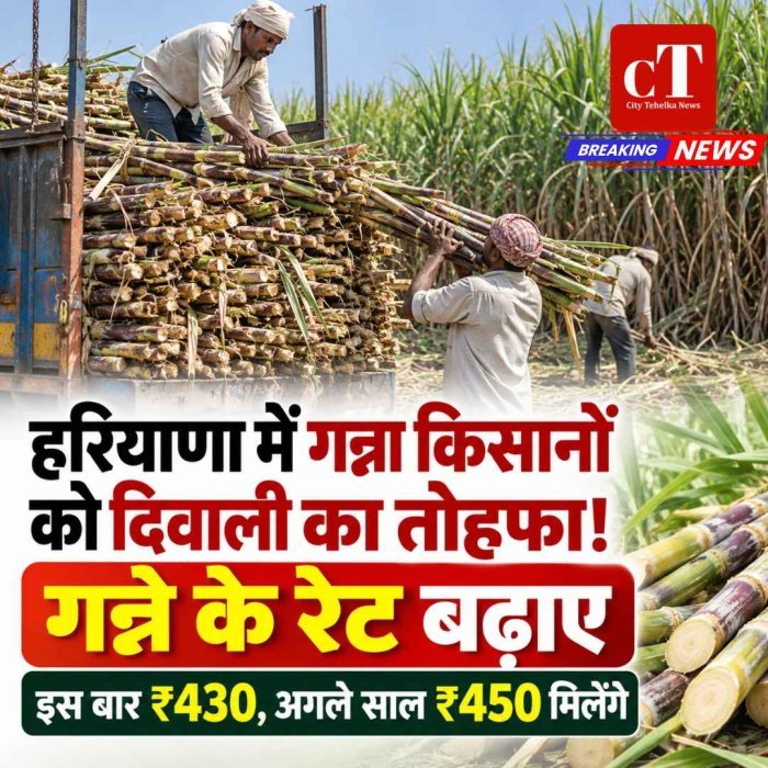 हरियाणा में गन्ना किसानों को दिवाली का तोहफा! गन्ने के रेट बढ़ाए: इस बार ₹430, अगले साल ₹450 मिलेंगे
